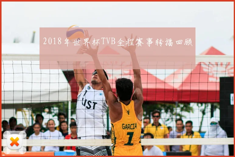 2018年世界杯TVB全程赛事转播回顾