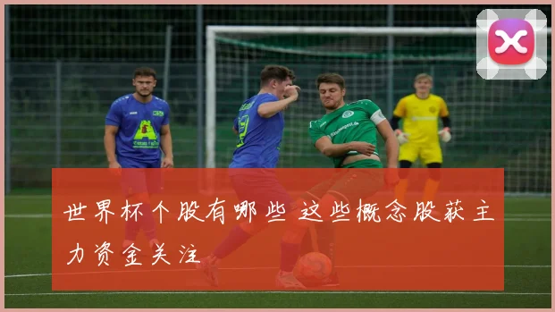 世界杯个股有哪些 这些概念股获主力资金关注