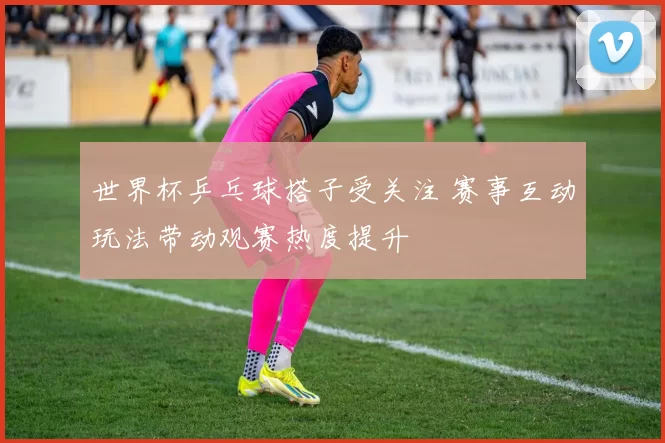 世界杯乒乓球搭子受关注 赛事互动玩法带动观赛热度提升