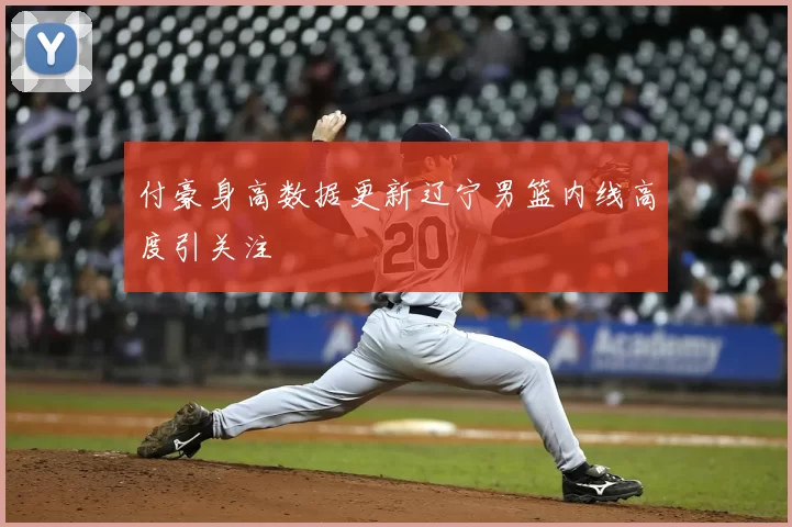 付豪身高数据更新辽宁男篮内线高度引关注