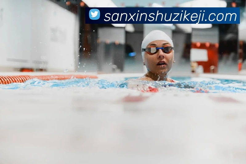 多媒体互动体验